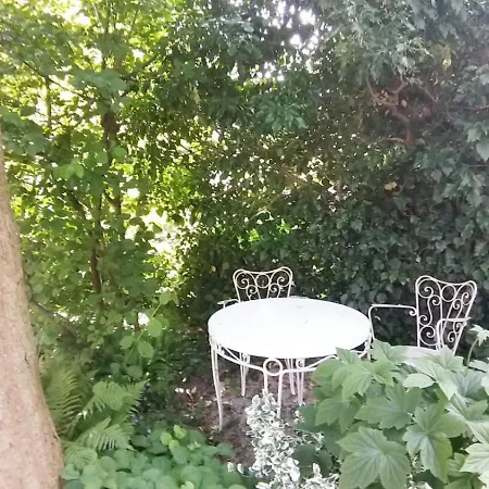 Swiss Art & Vine Pop-up House Bienne